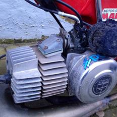 Puch Maxi - Big Membran