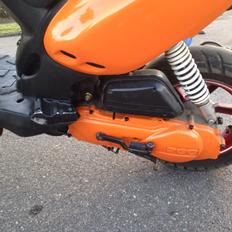 PGO PMX - No Fear - AC