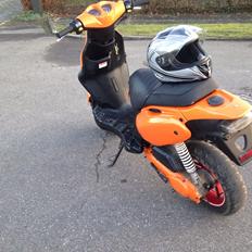 PGO PMX - No Fear - AC