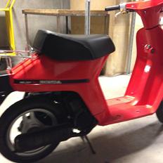 Honda Melody Mini NT50