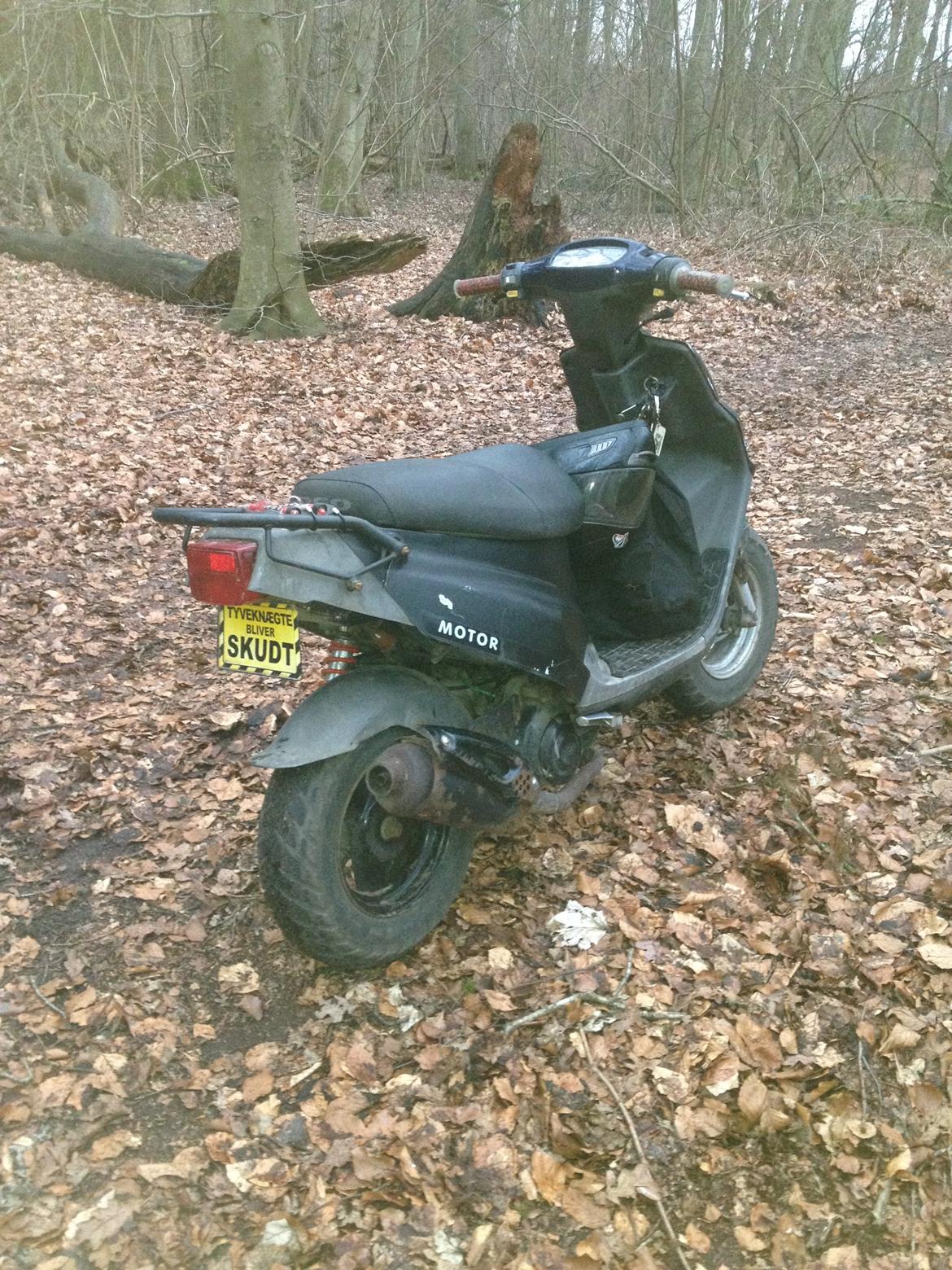 PGO Hot 50 billede 2