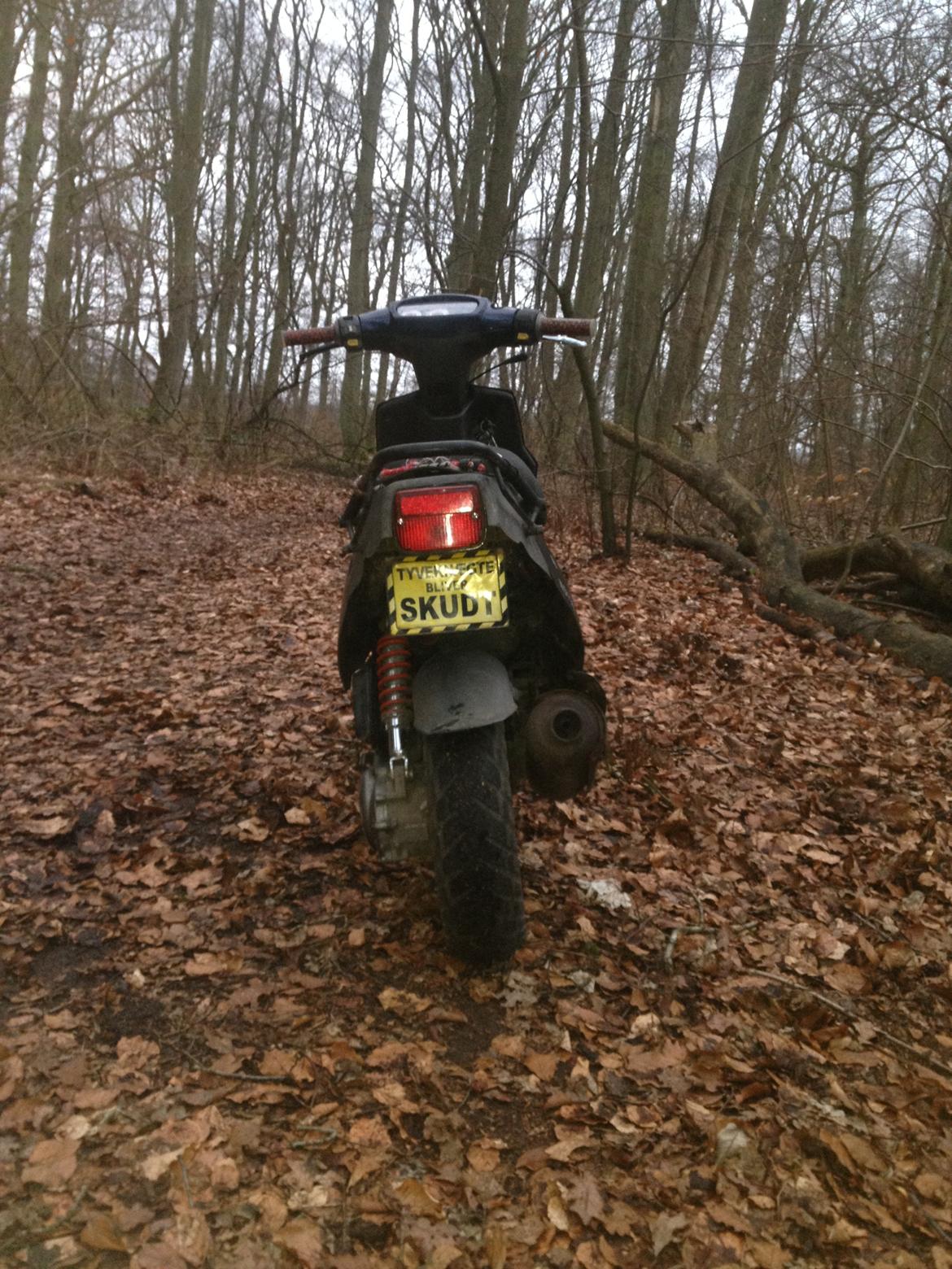 PGO Hot 50 billede 5