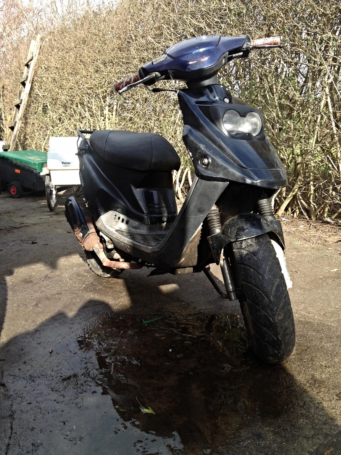 PGO Hot 50 billede 11