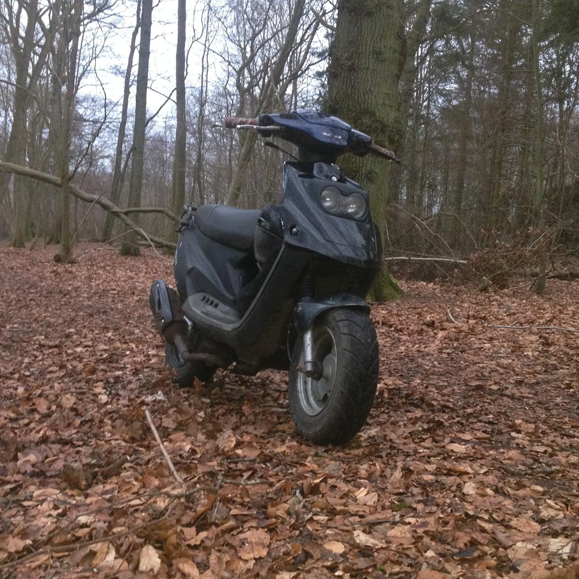 PGO Hot 50 billede 1