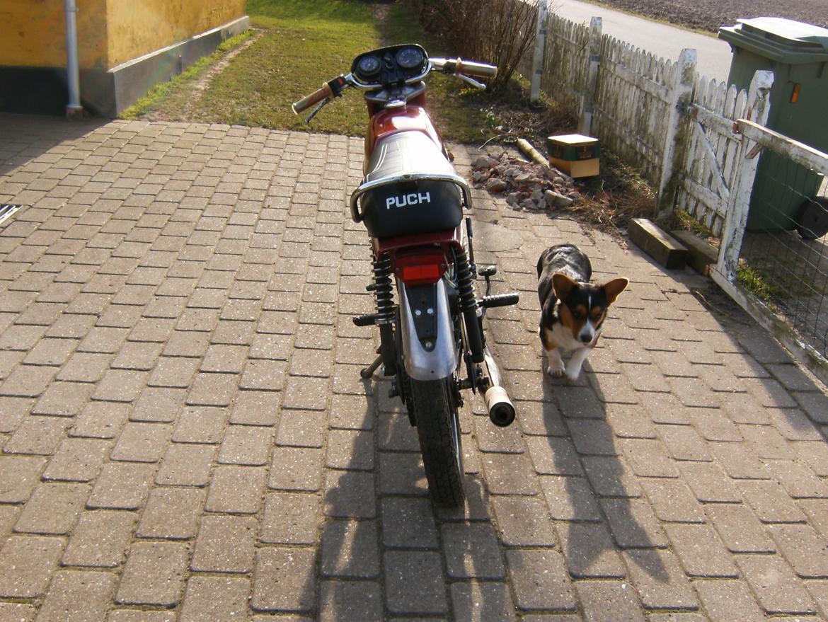 Puch monza billede 7