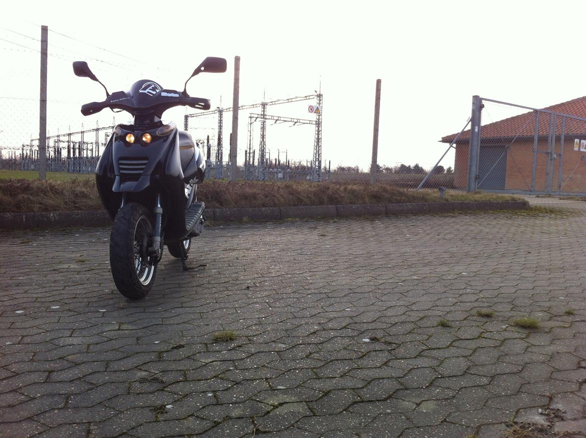 Beta Ark 50  "Auberginen" billede 2