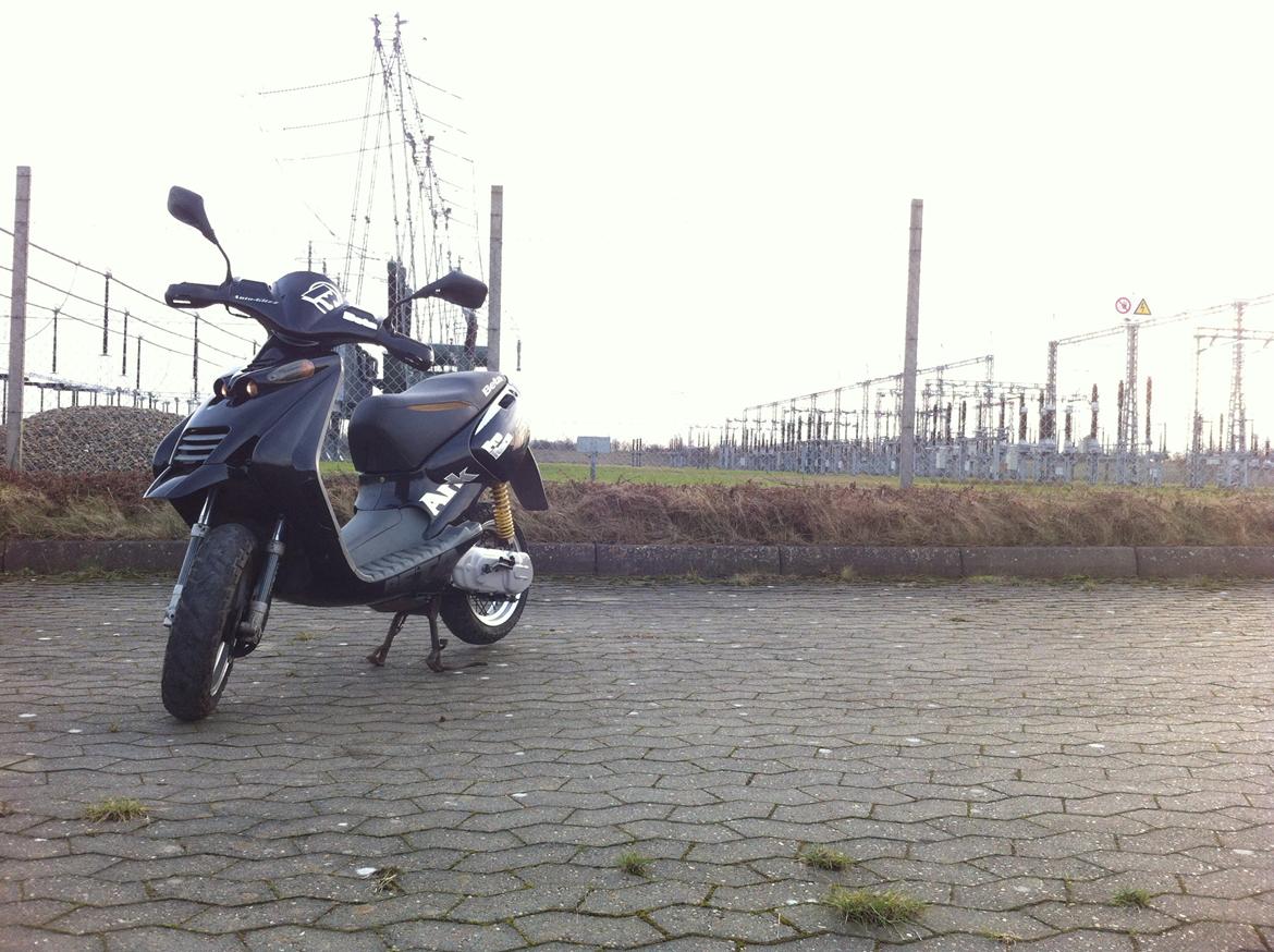 Beta Ark 50  "Auberginen" billede 1