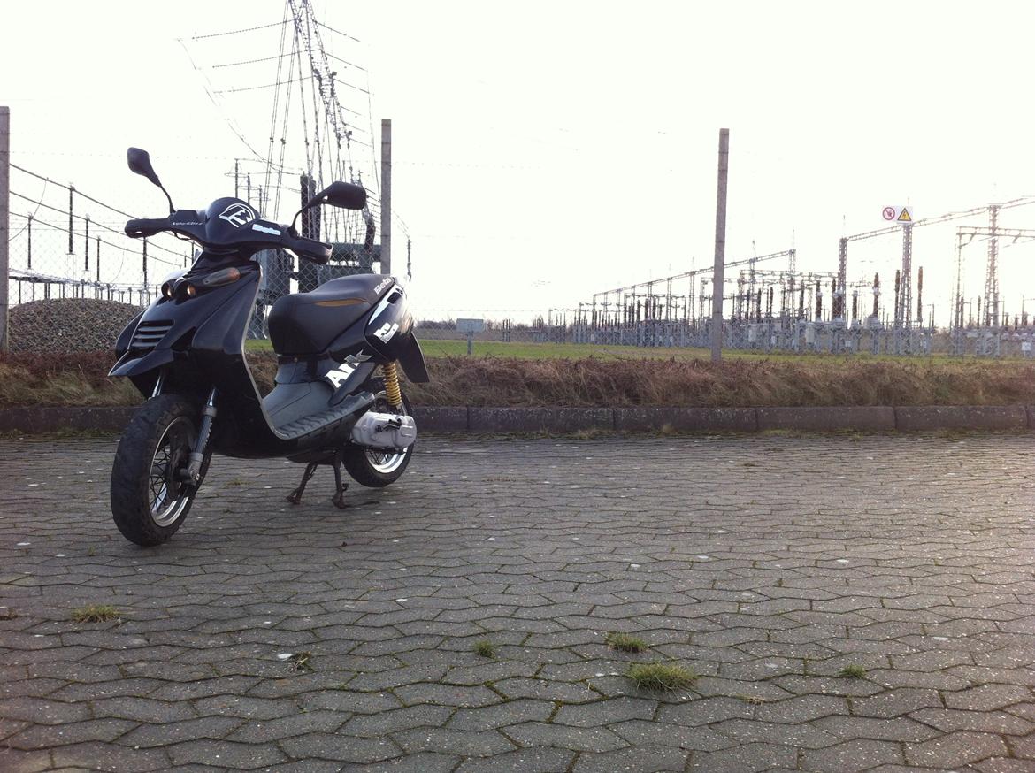 Beta Ark 50  "Auberginen" billede 3