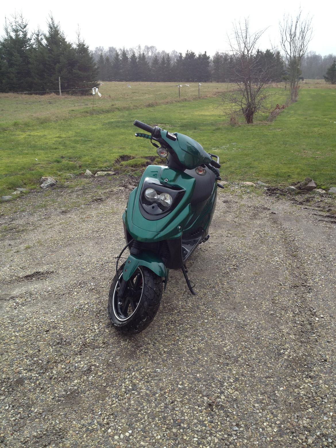 PGO Hot 50 billede 2