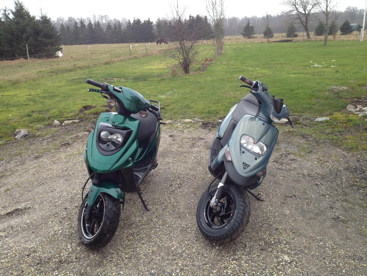 PGO Hot 50 billede 22