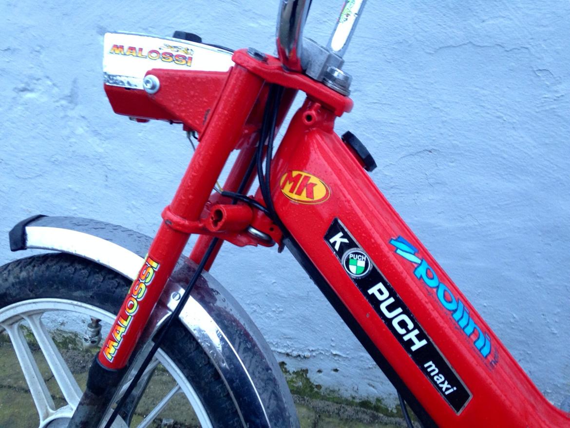 Puch Maxi - Big Membran billede 5