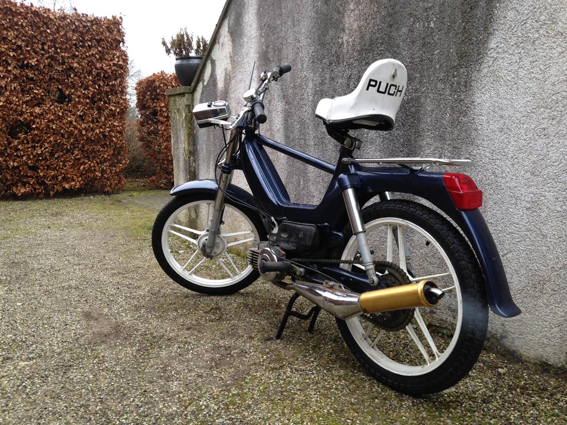 Puch Maxi P1 billede 13