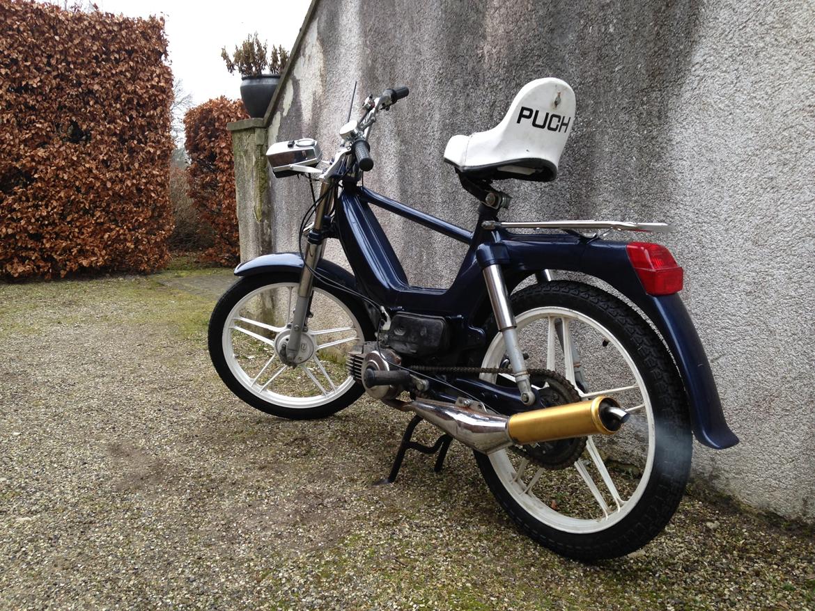 Puch Maxi P1 billede 14