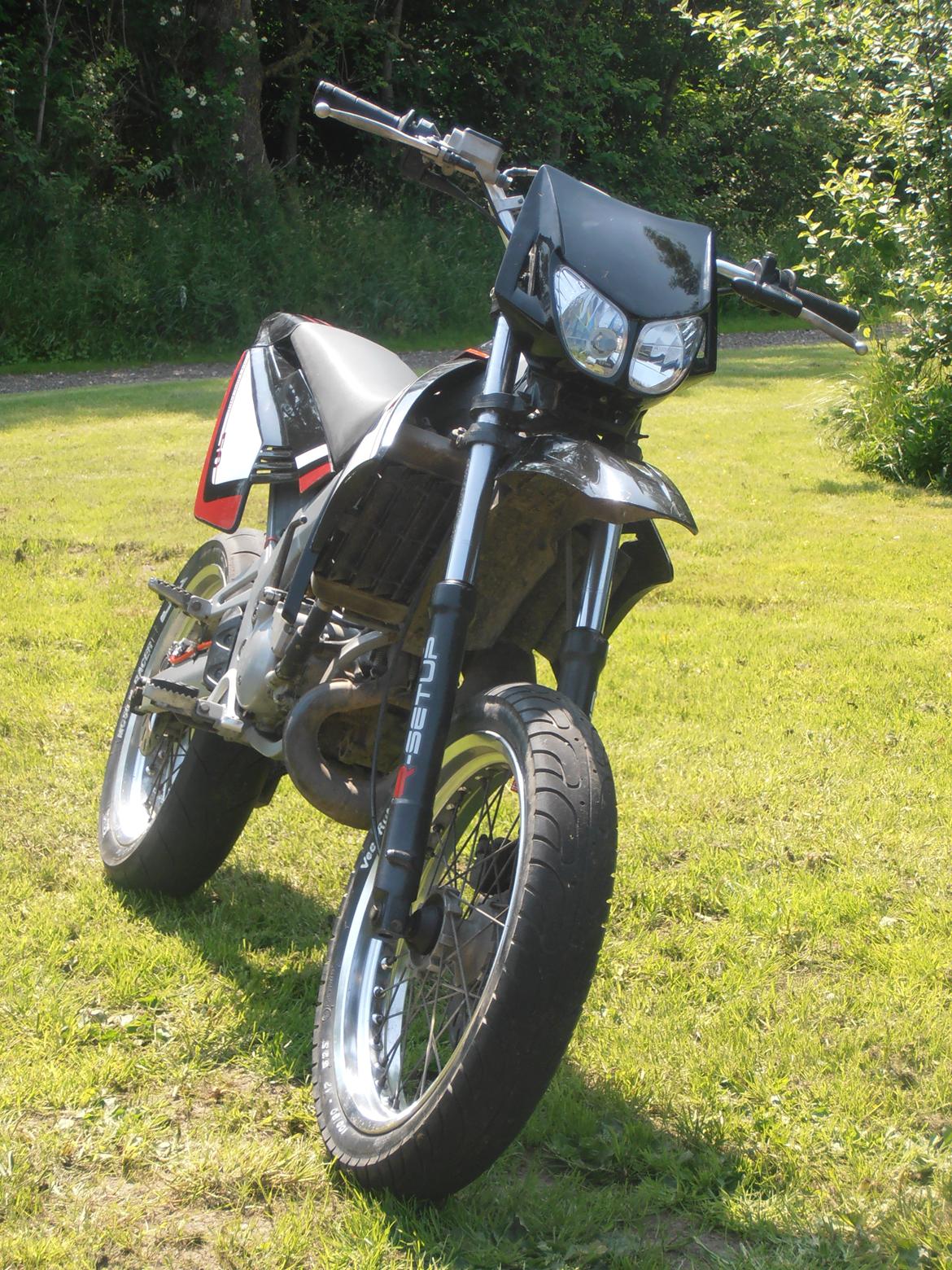 Gilera smt   (Jonna) - som hun ser ud nu  billede 1