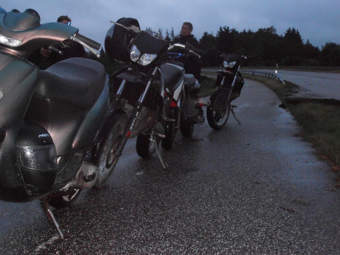 Gilera smt   (Jonna) billede 17
