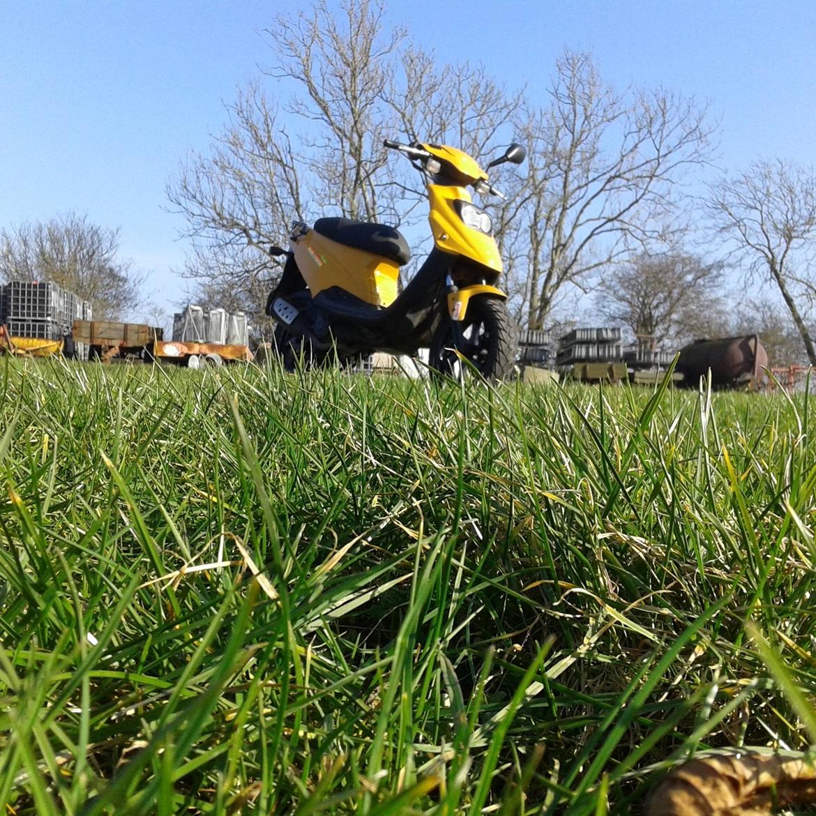 PGO Hot 50 billede 9