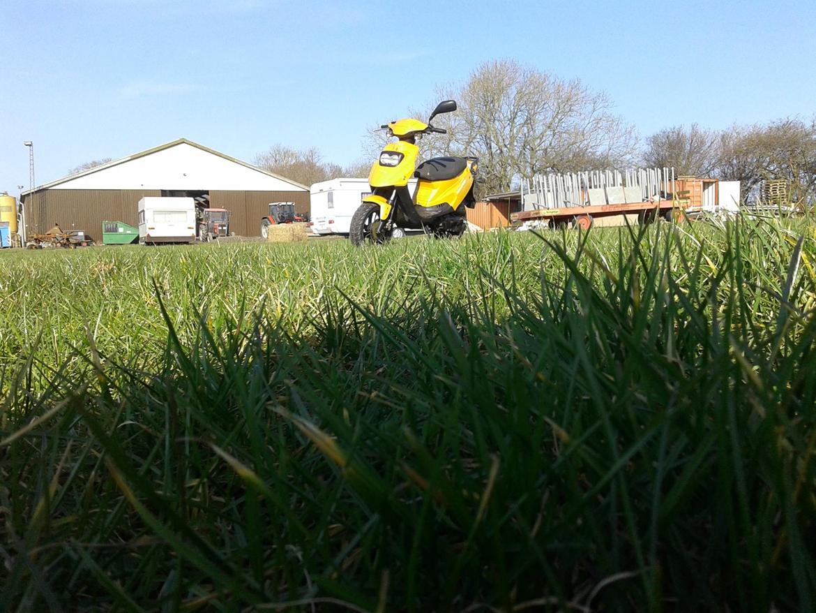 PGO Hot 50 billede 10