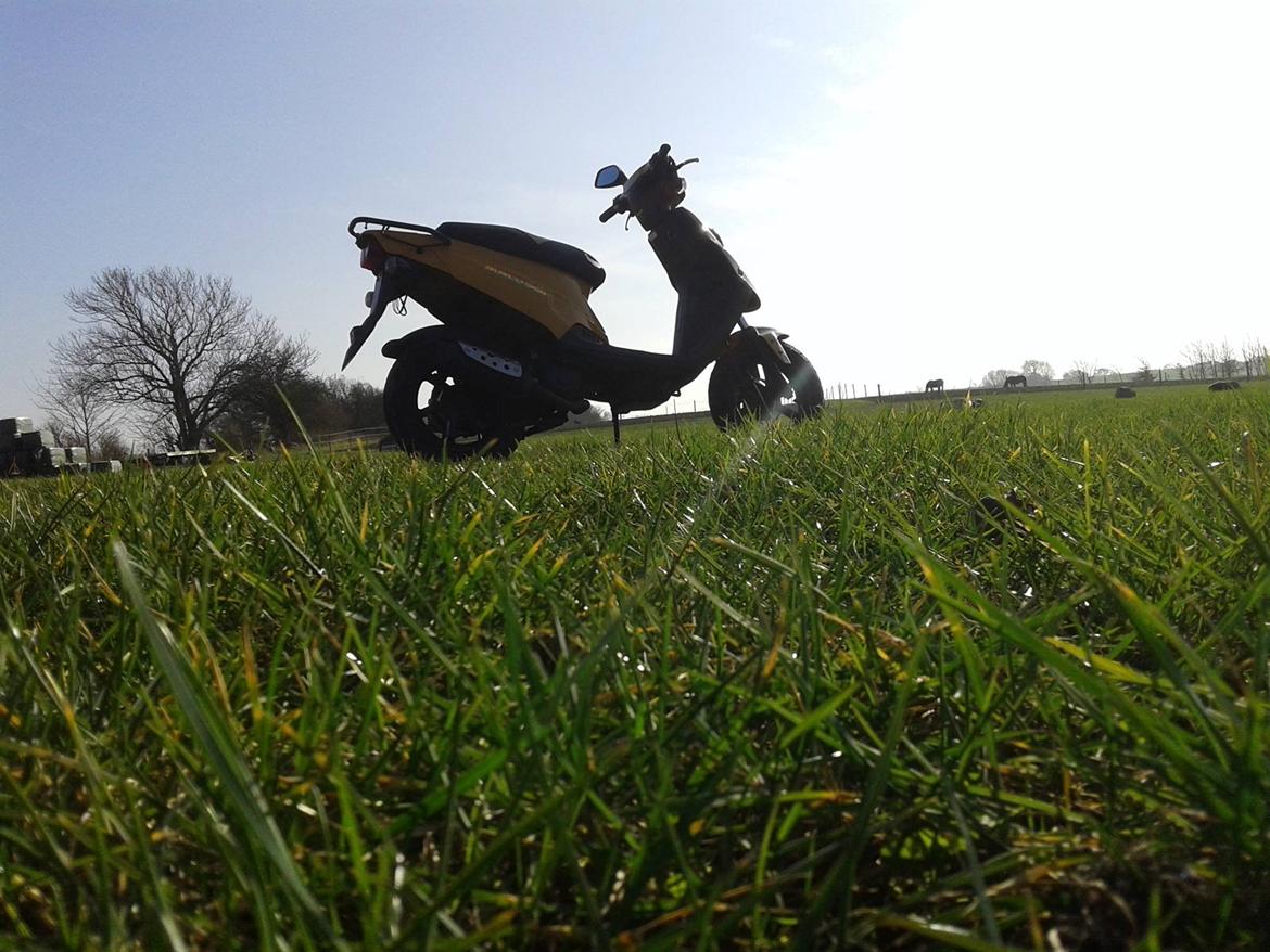 PGO Hot 50 billede 12