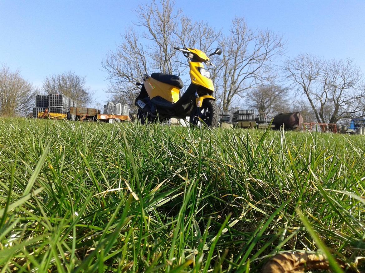 PGO Hot 50 billede 8