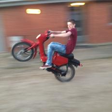Honda Wallaroo