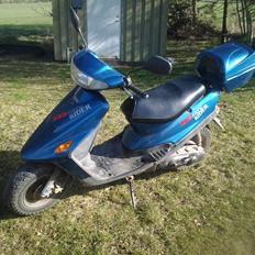 Kreidler Easy Rider det er en 45