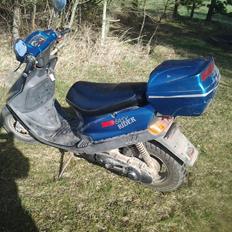 Kreidler Easy Rider det er en 45