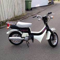 Suzuki FZ50 - Original - SOLGT