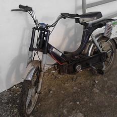 Vespa Bravo (AKA Street fighter)