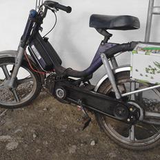 Vespa Bravo (AKA Street fighter)