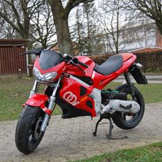 Gilera DNA