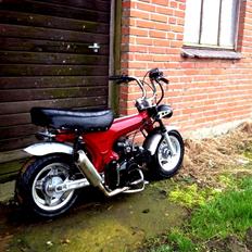 Honda ST 70 Dax Lowrider
