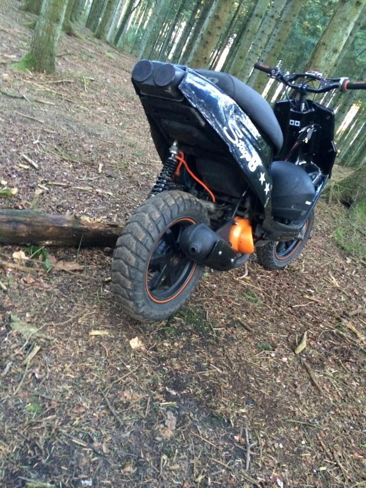 PGO Hot 50 The Custom Bitch billede 5