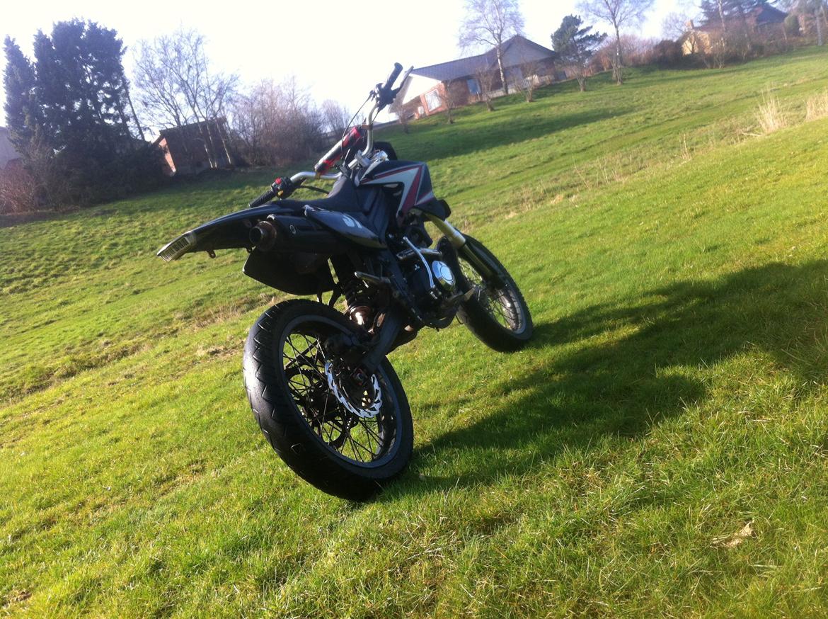Xmotos XB31 billede 5