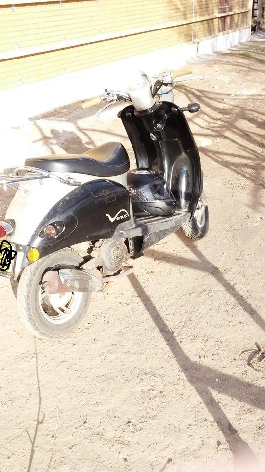 Giantco Venus billede 8