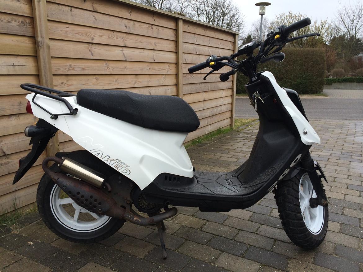 PGO HOT 50 NAKED *zu verkaufen(oversæt fra tysk)* billede 10