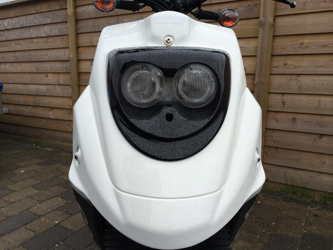 PGO HOT 50 NAKED *zu verkaufen(oversæt fra tysk)* billede 14