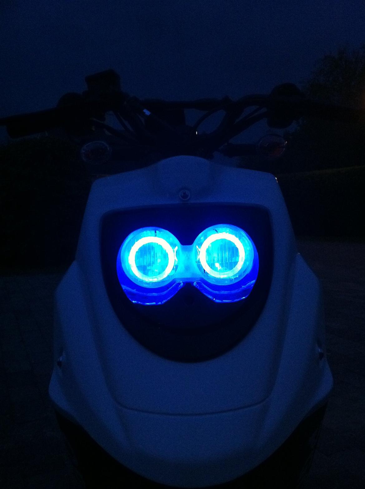 PGO HOT 50 NAKED *zu verkaufen(oversæt fra tysk)* billede 15