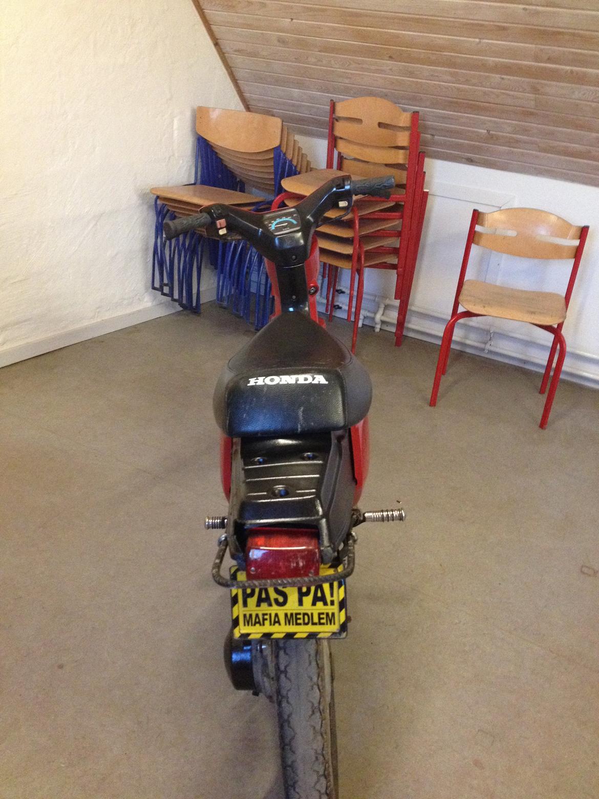 Honda Wallaroo billede 10