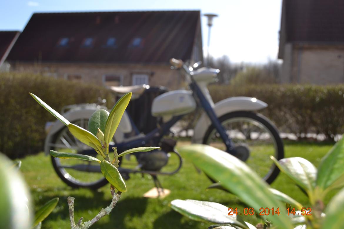 Veteraner Nsu Quickly k23 billede 2