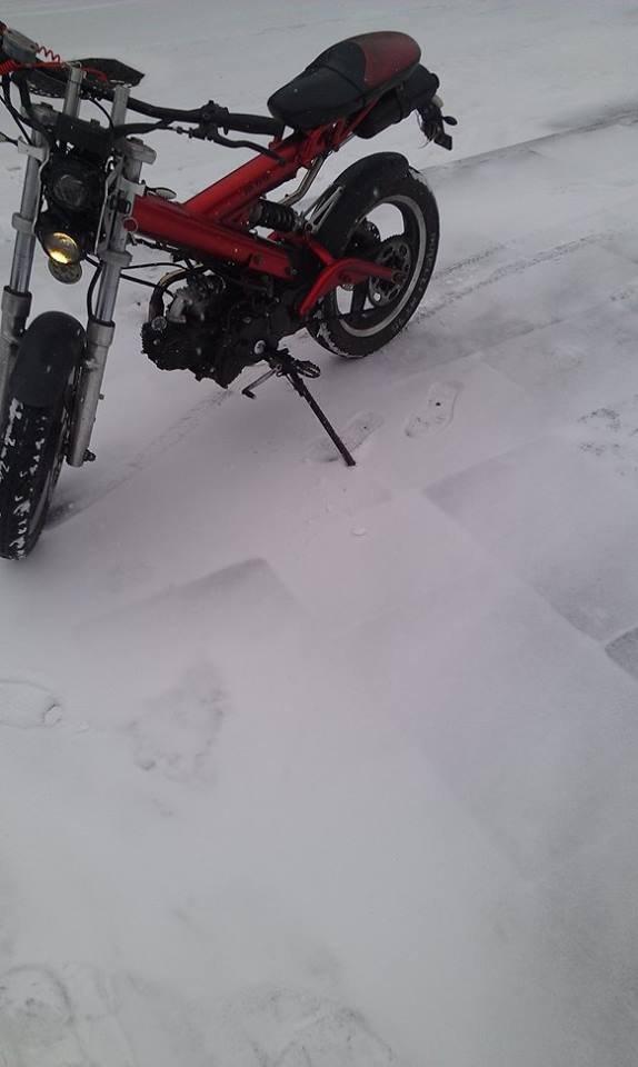 Sachs madass mk2 billede 3