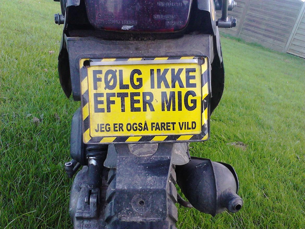 PGO Hot 50 (Den grøøøn) - Min far sagde skeen skulle i den anden hånd og at der skulle nummerplade på. Såååå Jaaa billede 3
