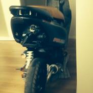 Honda SFX Projekt SOLGT