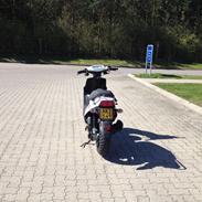 PGO Hot 50 White Edition