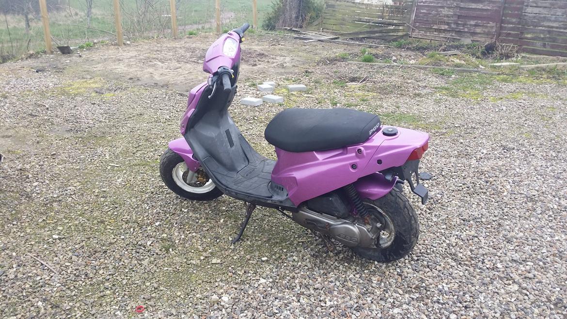 PGO Hot 50 billede 8