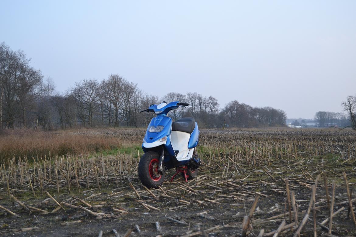 Gilera Stalker billede 2