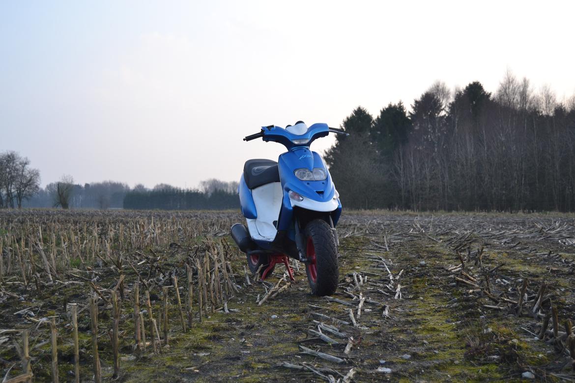 Gilera Stalker billede 1