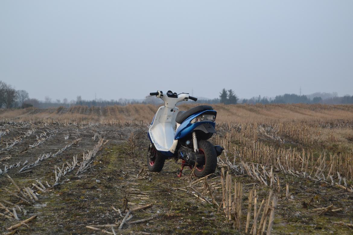 Gilera Stalker billede 5