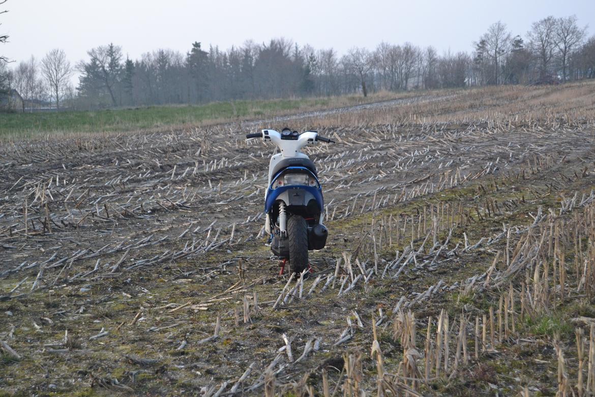 Gilera Stalker billede 6