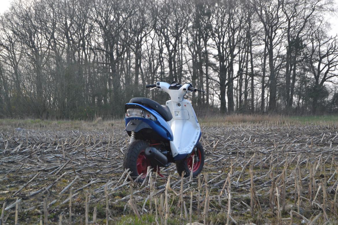 Gilera Stalker billede 7