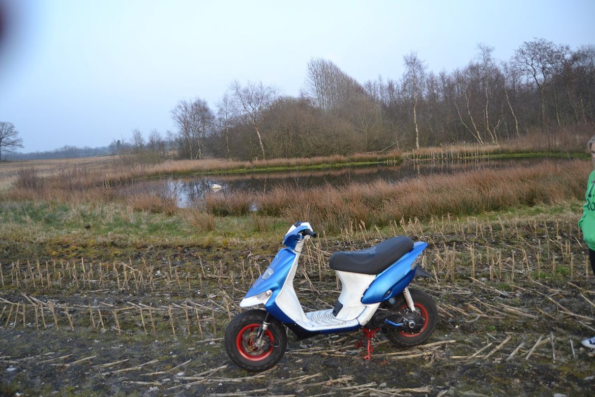 Gilera Stalker billede 11